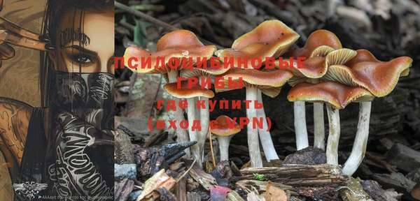 MDMA Корсаков