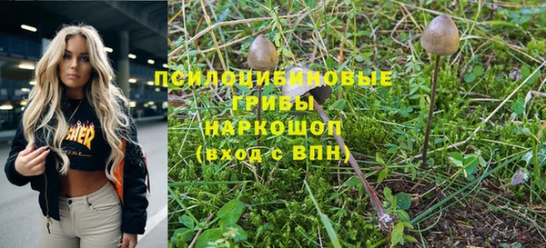 прущая мука Краснослободск
