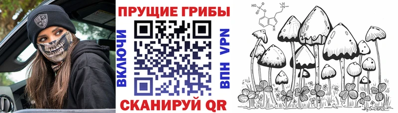 Псилоцибиновые грибы Psilocybe  Александровское 