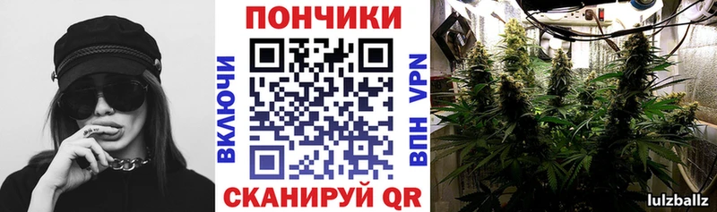 где найти наркотики  Александровское  Конопля OG Kush 